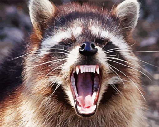Zombie Racoon Ohio paint by numbers