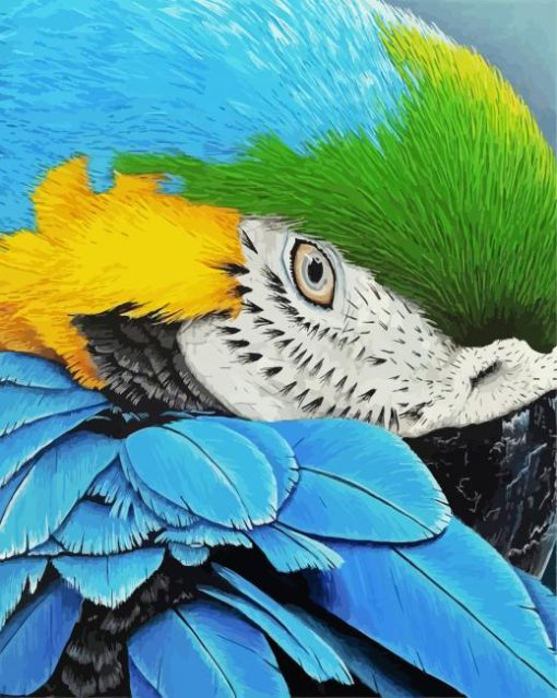 Blue Gold Macsaw Parrot Closeup paint by numbers