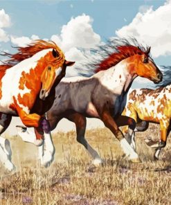 American Paint Horses paint by numbers