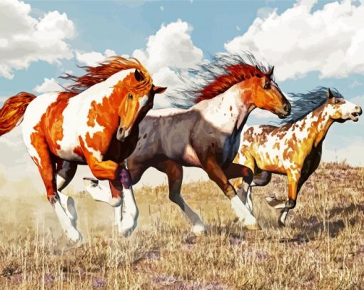 American Paint Horses paint by numbers