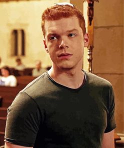 American Actor Cameron Monaghan paint by numbers