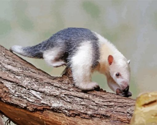 Anteater paint by numbers