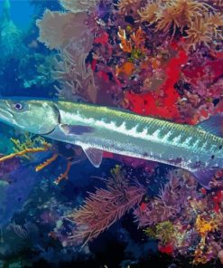 Barracuda Fish Underwater paint by numbers