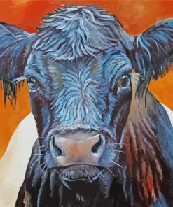 Belted galloway art paint by numbers