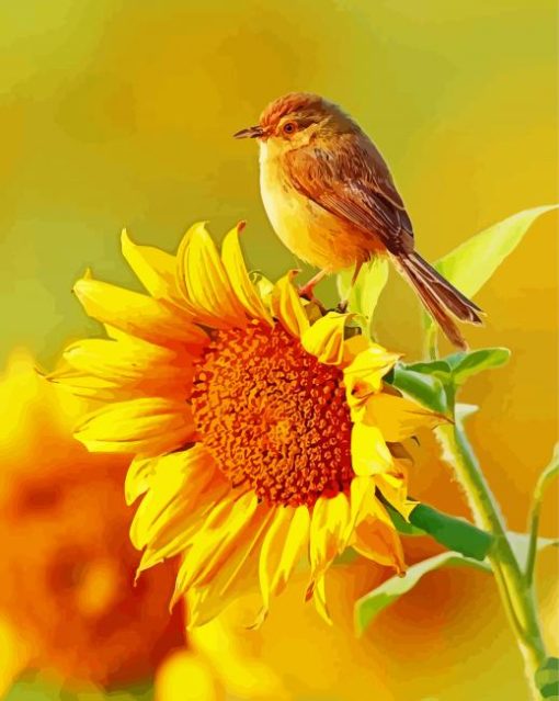 Bird And Sunflower Paint by numbers