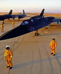 Blackbird SR71 in the airport paint by numbers