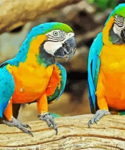 Blue And Gold Macsaw Parrots paint by numbers