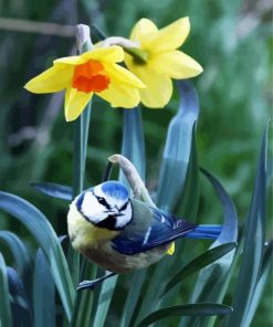 Blue Bird And Daffodils Art paint by numbers