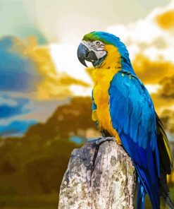 Blue Gold Macsaw Parrot paint by numbers