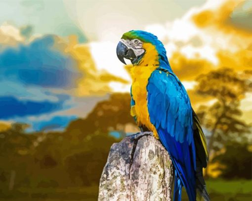 Blue Gold Macsaw Parrot paint by numbers