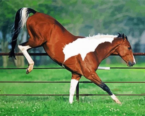 Bucking Horse paint by numbers