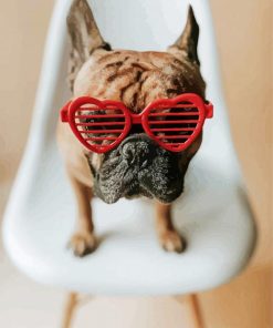 Bulldog with heart glasses on chair paint by number