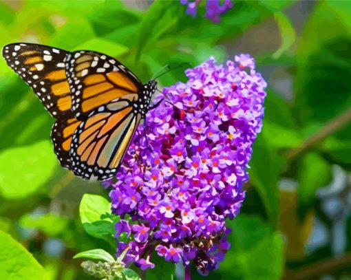 Butterfly And Flowers paint by numbers