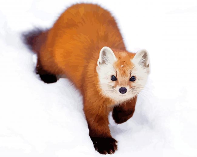 Canadian Animal paint by numbers