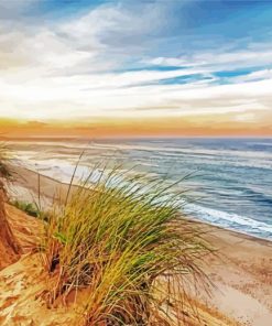 Cape Cod Beach At Sunset paint by numbers