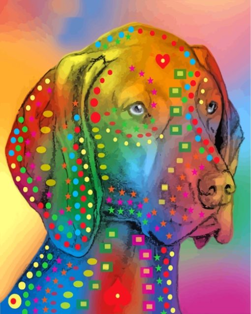 Colorful Pointer Dog Head paint by numbers