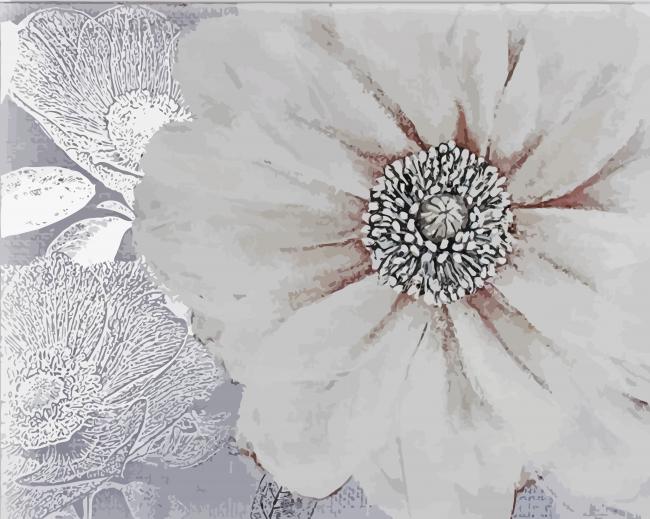 Grey And White Art paint by numbers