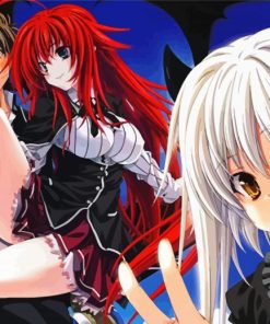 High School DxD Characters paint by numbers