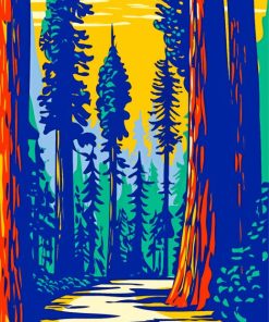 Illustration Redwoods Park paint by numbers