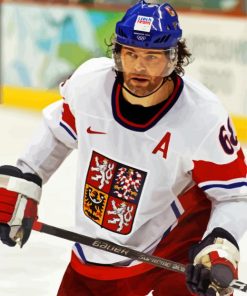 Jagr Czech Ice Hockey Player paint by numbers