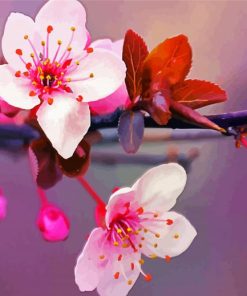 Japanese Cherry Blossom paint by numbers