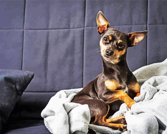 Miniature Pinscher Puppy paint by numbers
