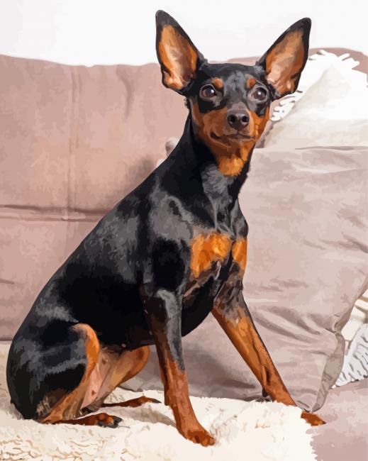 Miniature Pinscher Dog paint by numbers