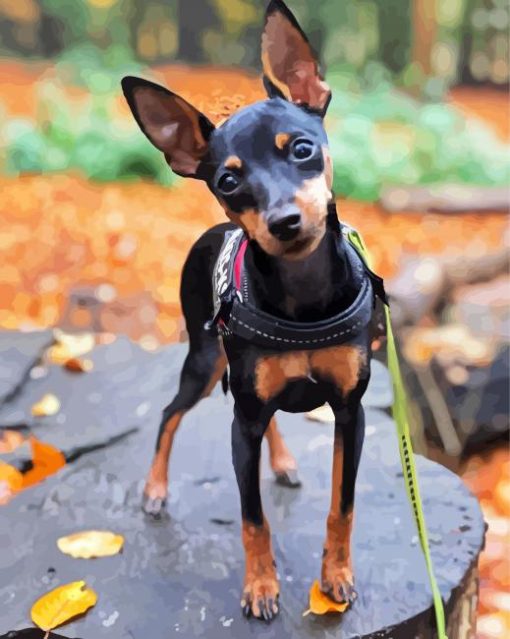 Miniature Pinscher Dog paint by numbers