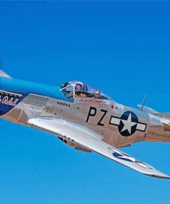 Mustang P51 aircraft paint by numbers