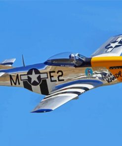 Mustang P51 paint by numbers