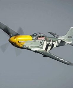 Mustang P51 plane paint by number