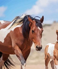 Paint Horse And Foal paint by numbers