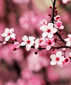 Pink Cherry Blossom paint by numbers