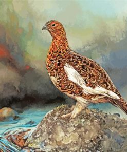 Ptarmigan Bird paint by numbers