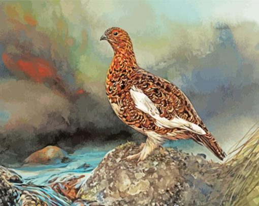 Ptarmigan Bird paint by numbers