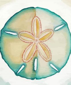 Sand dollar art paint by numbers