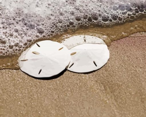 Sand dollars and wave paint by numbers