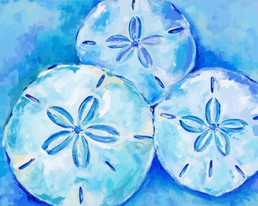 Sand dollars art paint by numbers
