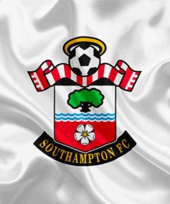 Southampton Football Club paint by numbers