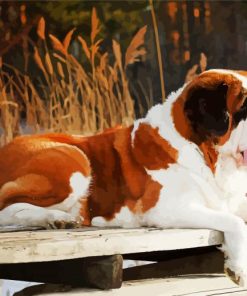 St Bernard Dog paint by numbers