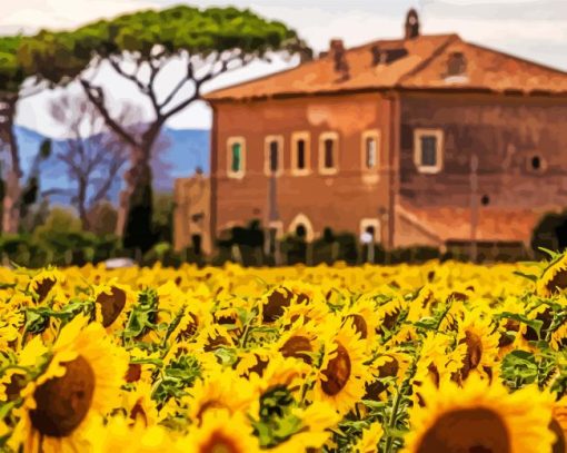 Sunflower House paint by numbers