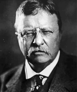 Teddy Roosevelt President paint by numbers