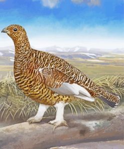 The Willow Ptarmigan Bird paint by numbers