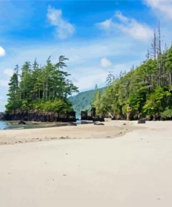 Vancouver island beach paint by number