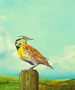 Western Meadowlark Art paint by numbers