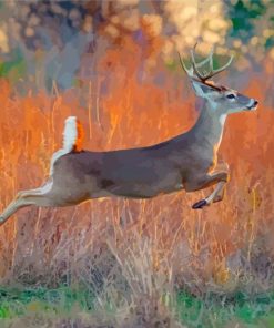 White Tailed Deer Running paint by numbers