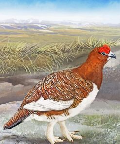 Willow Ptarmigan Bird Art