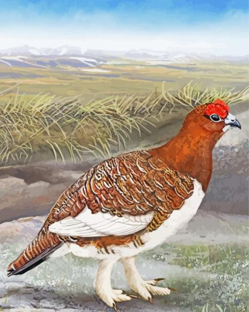 Willow Ptarmigan Bird Art