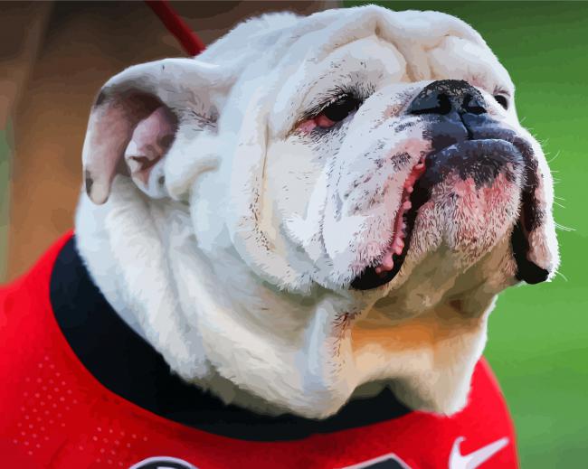 Georgia Bulldog paint by numbers