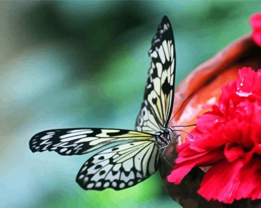 Attracting Butterfly On A Flower paint by numbers